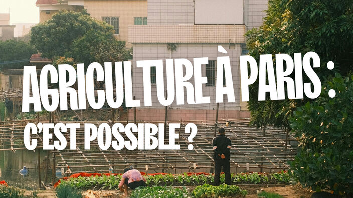 De l'agriculture à Paris, c'est possible ?